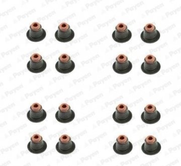 Сальник клапана (компл.) BMW N42/N46 (16PCS) (выр-во) Payen HR5086