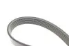 Комплект ремня генератора Citroen Jumper/Peugeot Boxer 2.2 HDi 11- (6PK1640) Peugeot/Citroen 1611281280 (фото 3)