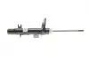 Амортизатор (передній) Citroen C3 II 1.1-1.6D 09-(R) Peugeot/Citroen 9810704980 (фото 1)