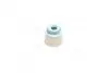 Сальник клапана 5,5*10*7,5/12 FKM Hyundai Elantra 22224-2B011 (выр-во PHG корея ОЭ) PH 1411ACDAI0 (фото 1)