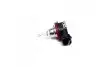 Лампа накаливания H9 12V 65W PGJ19-5 STANDARD (выр-во) PHILIPS 12361C1 (фото 1)
