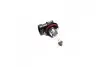 Лампа накаливания H11 12V 55w PGJ19-2 H LongerLife Ecovision (выр-во) PHILIPS 12362LLECOC1 (фото 1)