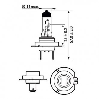 Автомобильная лампа PHILIPS 40607130