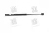 Амортизатор багажника AVEO T200 HB (PARTS-MALL) PMC PQC-202 (фото 1)