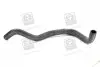 Патрубок радиатора нижний KIA CEED(ED) 06MY (выр-во PARTS-MALL) PMC PXNLA-174 (фото 1)