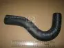 Патрубок радіатора верхній Kia Sorento 02- (PARTS-MALL) PMC PXNLB-055 (фото 2)