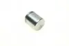 Поршень суппорта (заднего) Land Rover Range Rover III 02-12 (45x48mm)(Bendix/Bosch) QUICK BRAKE 185010 (фото 2)