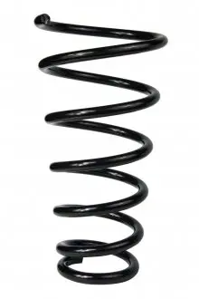 Пружина задньої підвіски Hyundai Tucson/Kia Sportage 04-10 Raiso SR060TP