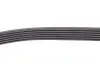 Комплект ремня генератора Duster 1.5dCi 10- (6PK1178) RENAULT 117202506R (фото 6)