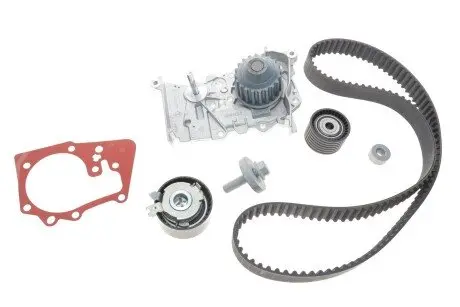 КОМП. РЕМІНЬ ГРМ РОЛІК ТА ПО RENAULT 119A04687R