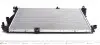 Радиатор охлаждения Trafic/Opel Vivaro 2.0CDTI 06- RENAULT 214109682R (фото 1)