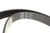 Комплект ременя генератора Megane II/III/Scenic II/II/Laguna III 2.0dCi 05- RENAULT 7701476644 (фото 12)