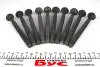 Комплект болтов ГБЦ 1.5dci Logan II, Duster, Dokker, Latitude, Megane III, Fluence, Laguna III, Scenic III RENAULT 7701478860 (фото 1)