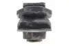 Подушка двигателя Kangoo 1.6i 08-Л. RENAULT 8200358147 (фото 4)
