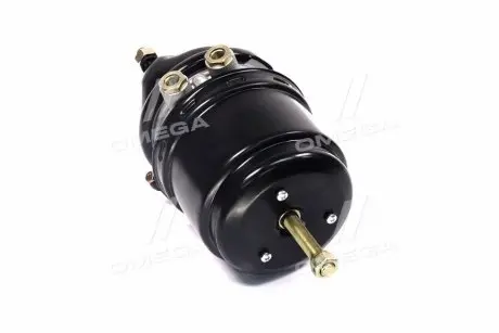 Энергоаккумулятор Тип 24/24 PROFESSIONAL M22x1.5 RIDER RD 20.04.78