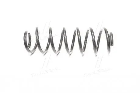Пружина подв. VW Passat 05-10 задн. RIDER RD.28110069