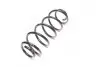 Пружина подв. AUDI A4, A6, VW PASSAT 96-00 передн. RIDER RD.34110004 (фото 4)