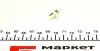 Автолампа 24V 1.2W B8.5d LED Grey (в щиток приладів) Ring R508TLED (фото 4)