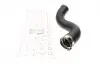 Патрубок интеркулера Renault Megane III/Scenic III 1.9 dCi 08- ROTWEISS RWS2376 (фото 1)