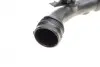 Патрубок інтеркулера Renault Kangoo 1.5 DCI 08- ROTWEISS RWS2443 (фото 6)