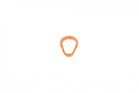 Прокладка насосу вакуумного Citroen Jumper/Peugeot Boxer 2.0/2,2 HDi 02- ROTWEISS RWS2488