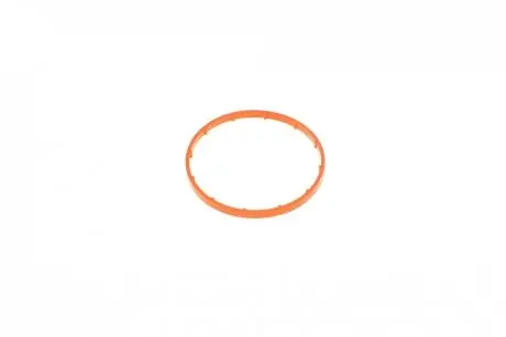 Прокладка насосу вакуумного Citroen Berlingo/Jumpy/Peugeot Partner/Expert 2.0/2.2 HDi 02- ROTWEISS RWS2525