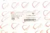 Патрубок інтеркулера Renault Fluence/Scenic III/Megane III 1.5dCi 08- ROTWEISS RWS2692 (фото 2)
