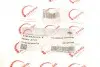 Патрубок інтеркулера BMW 3 (E90) 05-11 M57 ROTWEISS RWS2703 (фото 5)