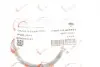 Прокладка колектора впускного Renault Kangoo/Laguna II/Trafic 1.4-2.0 01- ROTWEISS RWS2845 (фото 2)