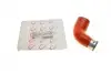 Патрубок интеркулера VW Caddy III 1.9TDI/2.0TDI 04-15 ROTWEISS RWS2869 (фото 1)