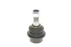 Опора шаровая (передняя/снизу) Ford Transit V184/V347 00-14/Transit Connect 02-13 (d=44.5mm) RTS 93-00696 (фото 5)