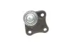 Опора шаровая (передняя/снизу/R) Audi A3/Seat Toledo/Leon/Skoda Octavia/VW Golf IV 96-10 RTS 93-00955-156 (фото 6)