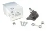 Опора кульова (передня/знизу/L) Audi A3/Seat Toledo/Leon/Skoda Octavia/VW Golf IV 96-10 RTS 93-00955-256 (фото 1)