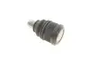 Опора шаровая (передняя/снизу) Mazda 3 03-14/Mazda 5 05-/Tribute 00-08 (d=18mm/42.45mm) RTS 93-08008 (фото 2)