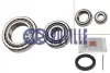 Комплект подшипников задний Ford Escort 80-90 RUVILLE 5217 (фото 1)