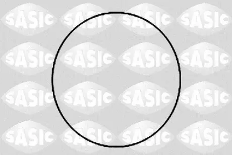 Кольцо уплотнительное гильзы цилиндра SASIC 1120780