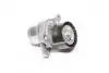 Натяжная планка, поликлиновый ремень. SCHAEFFLER GRUPPE 534 0281 10 (фото 1)