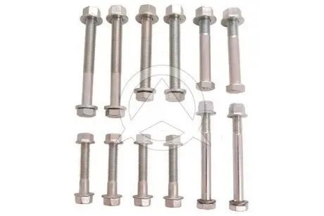 Болт рычага передн. оси Audi A4/A6-05 (к-кт 12 шт) SIDEM 37386