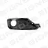 Решітка в бампер BMW 3 (F30/F31/F35/F80), 11 - 15 Signeda PBM99109CAR (фото 1)