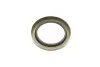 Подшипник ступицы (передней) MB E-class (W211/W212) 02-15 (к-кт) SKF VKBA 6537 (фото 7)