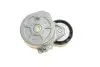 Натяжник ременя генератора Citroen Berlingo/Peugeot Partner 1.9D 96- (60x25) SKF VKM33050 (фото 5)