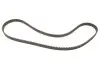 Комплект ГРМ Opel Astra F/Corsa B/Vectra B 1.4/1.6 16V 94-05 (20x169z) SKF VKMA 05150 (фото 4)