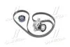 Комплект ремня ГРМ (Выр-во SKF) VKMA 36209