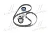 Комплект ремня ГРМ (Выр-во) SKF VKMA 36209 (фото 2)