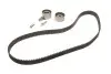 Комплект ремня ГРМ (Выр-во SKF) VKMA 91003