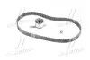 Роликовый модуль натяжителя ремня (ролик, ремень) SKF VKMA93005 (фото 3)