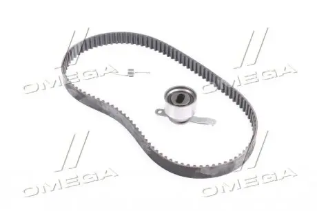 Роликовий модуль натягувача ременя (ролик, ремінь) SKF VKMA93005