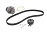 Комплект (ремень+ролик+насос) SKF VKMC 01106-1 (фото 1)