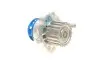Комплект (ремінь+ролик+помпа) SKF VKMC 01250-2 (фото 6)