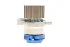 Комплект (ремінь+ролик+помпа) SKF VKMC 01250-2 (фото 10)